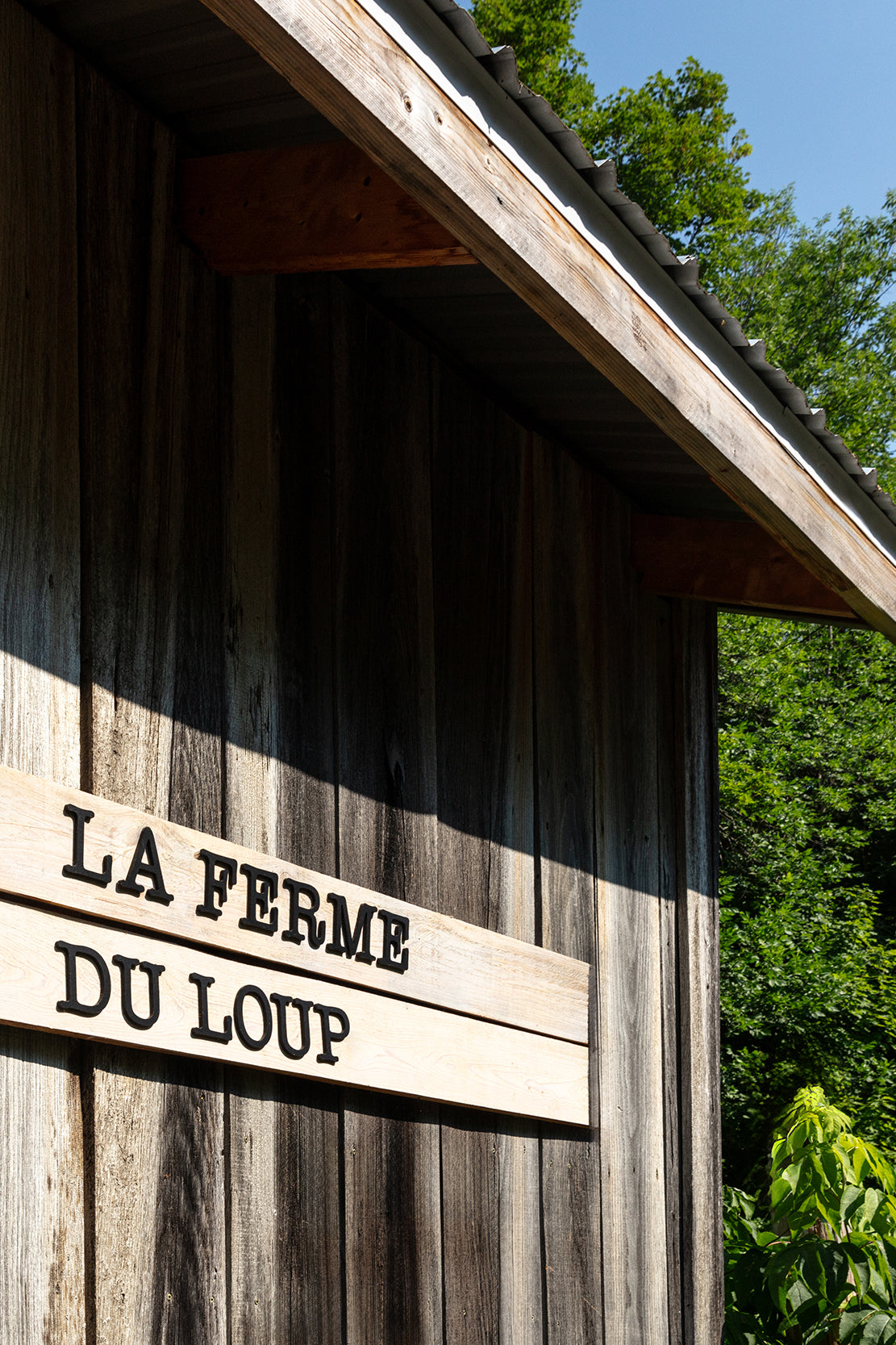 Dans les coulisses de La ferme du loup