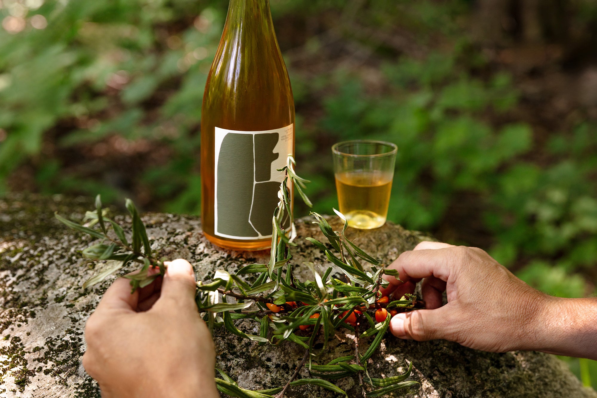 Acer de macération issu de la fermentation de l'eau d'érable