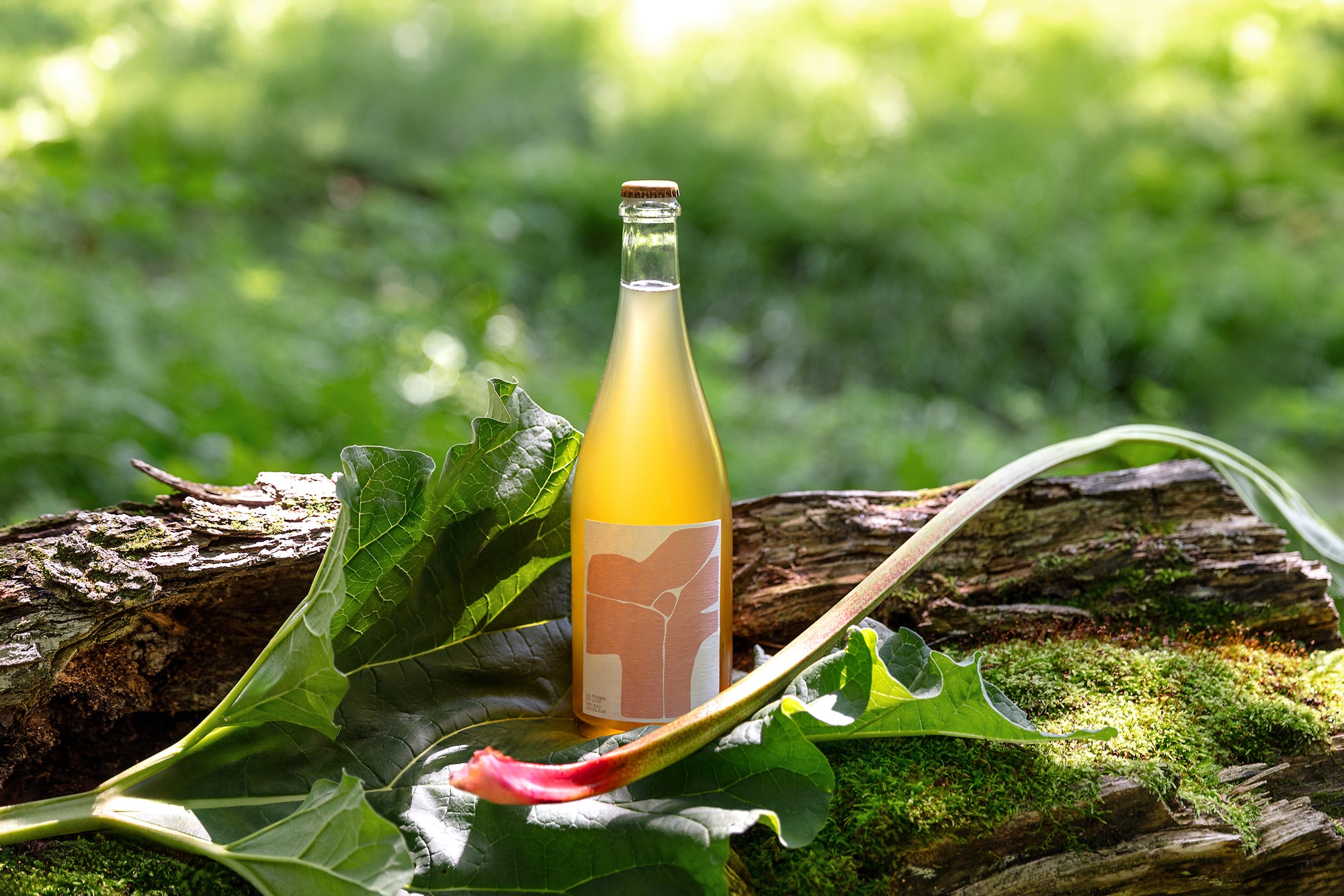 Acer mousseux. Petnat rhubarbe