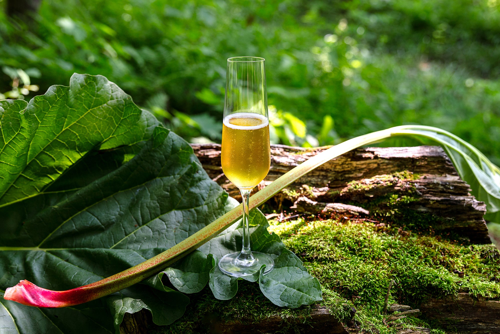 Pétillant naturel. Acer mousseux