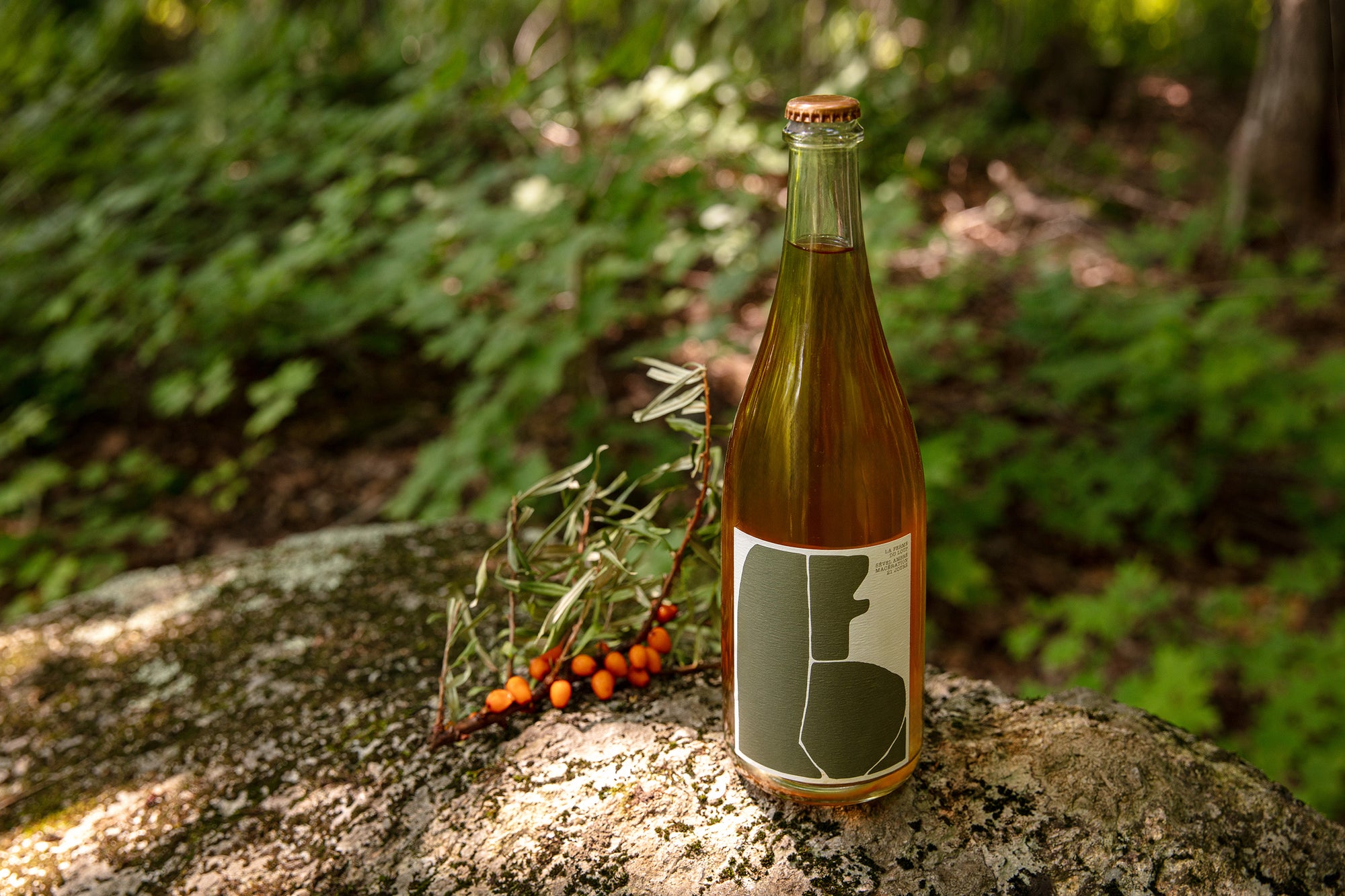 Acer Ambré, vin de macération