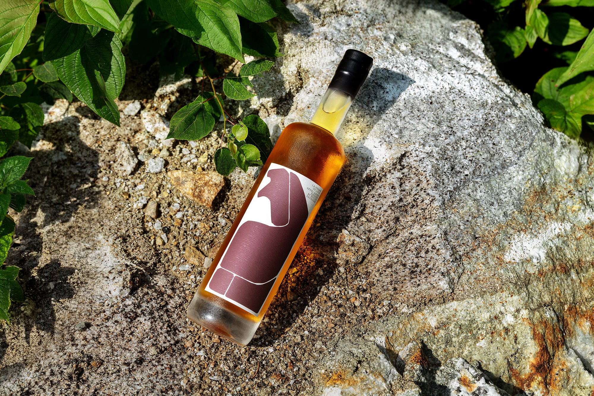 Vermouth d'érable