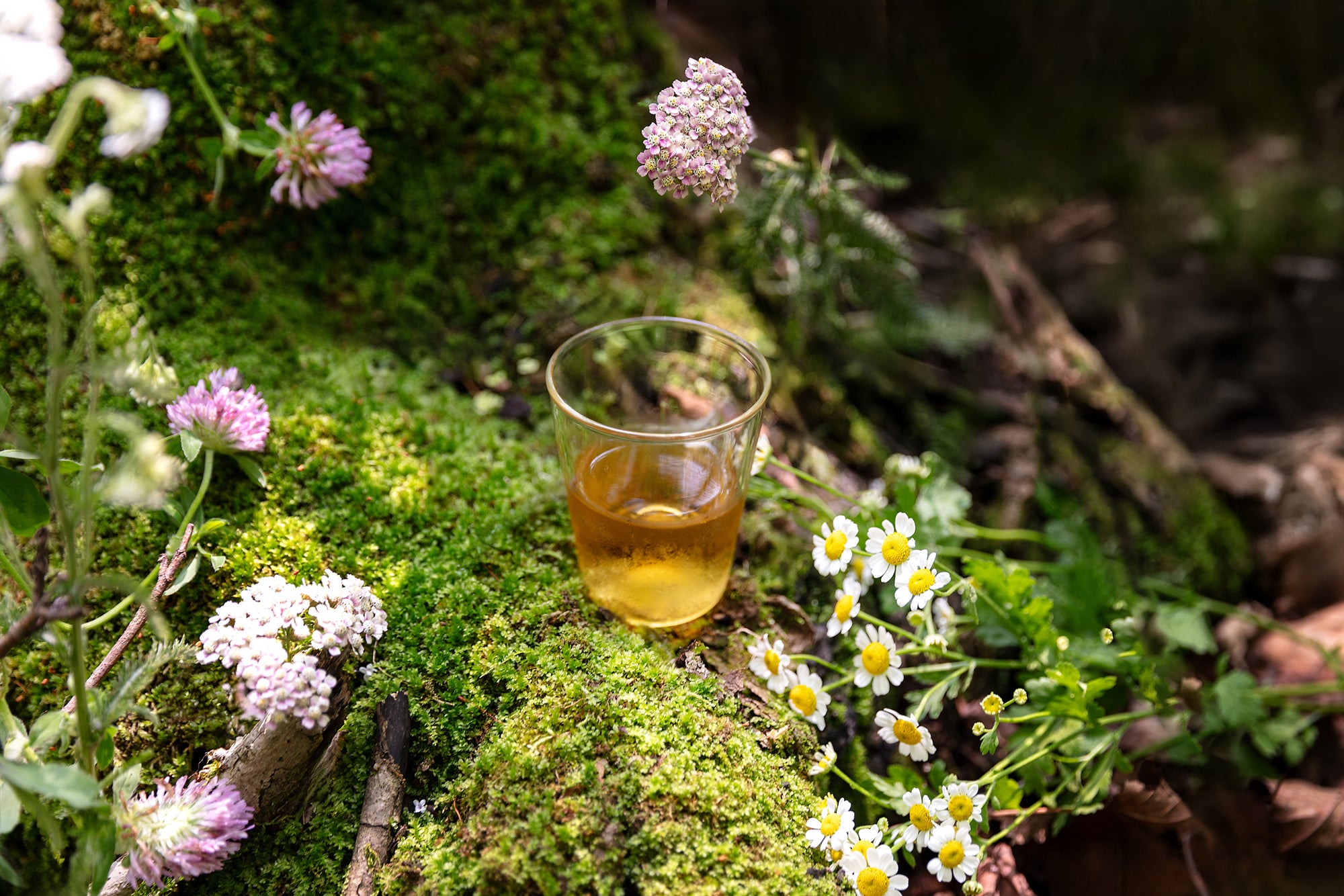Verre d'acer nature